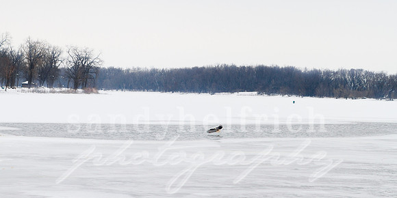 2013_February_09_031