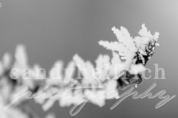Winter's Details 2