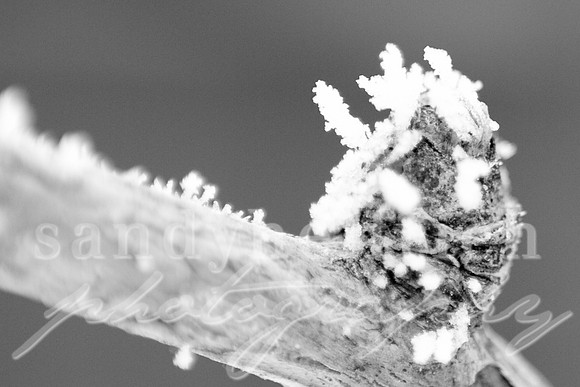 Winter's Details