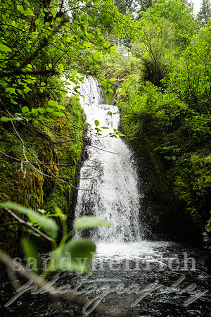 Bridal Veil Falls - OR