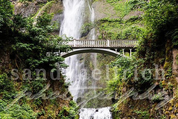 Multnomah Falls - OR