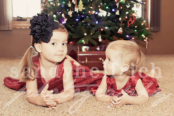 2011_December_02_062