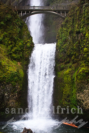 Multnomah Falls Lower- Portland, OR