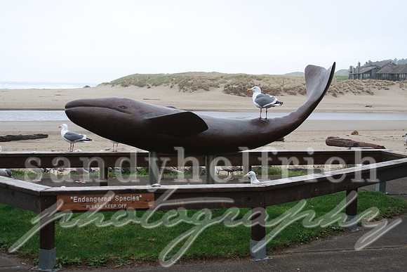 Cannon Beach, OR
